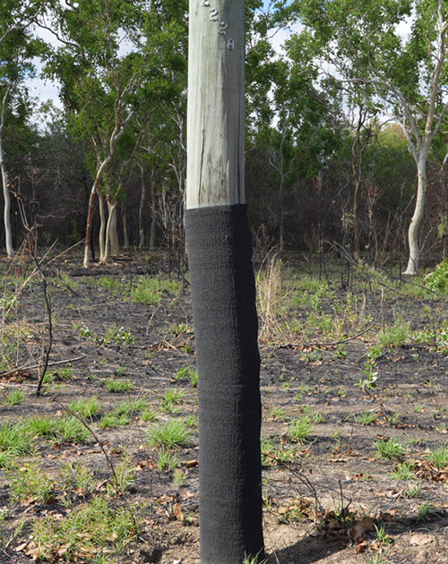 Fireproof mesh on power pole