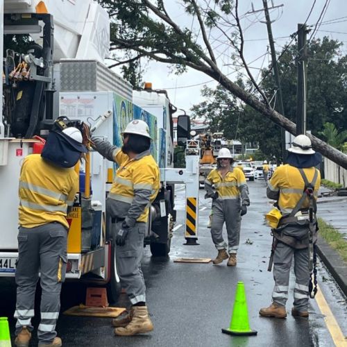 Field crew on the job in Brisbane