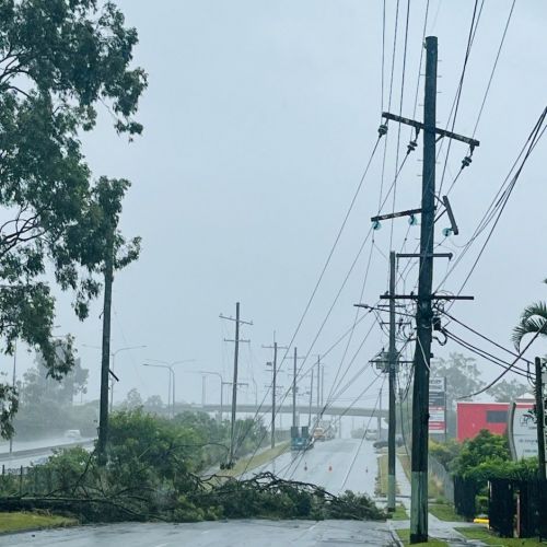 Trees across powerlines at Loganholme