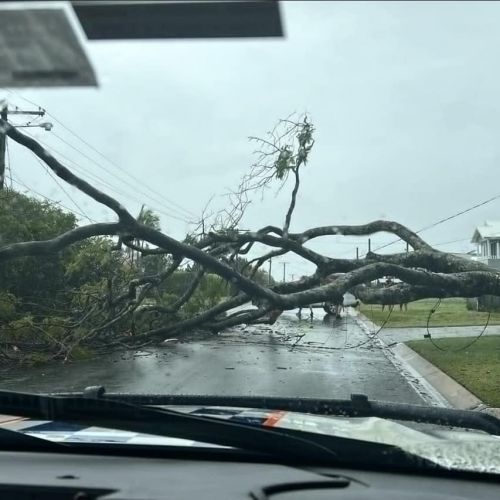 Huge tree fallen across a road and into powerlines in residential area