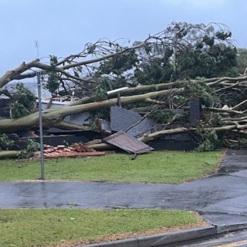 Tree across a residential house at Ashore Gold Coast