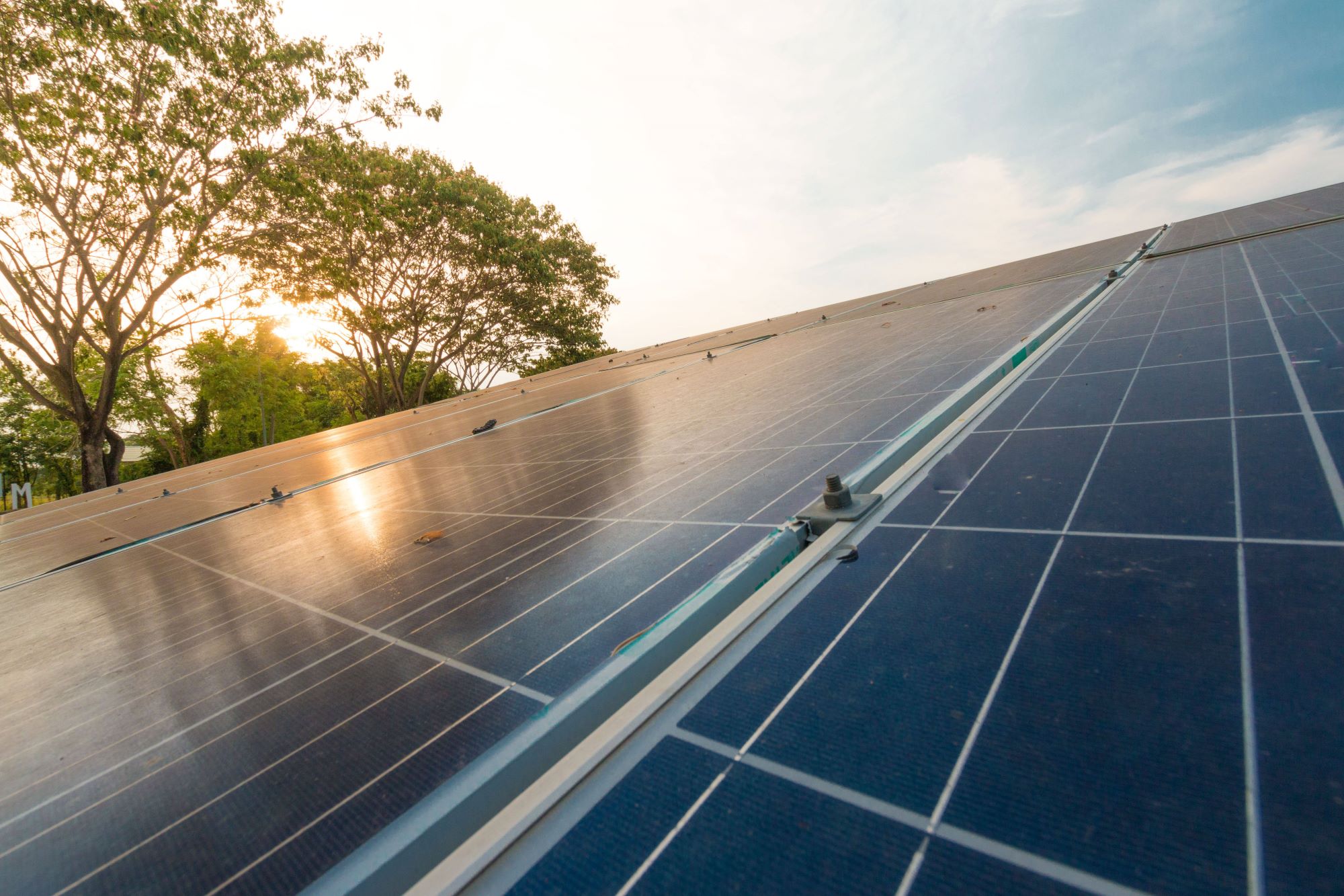 Solar panels on roof with sun coming up behind them